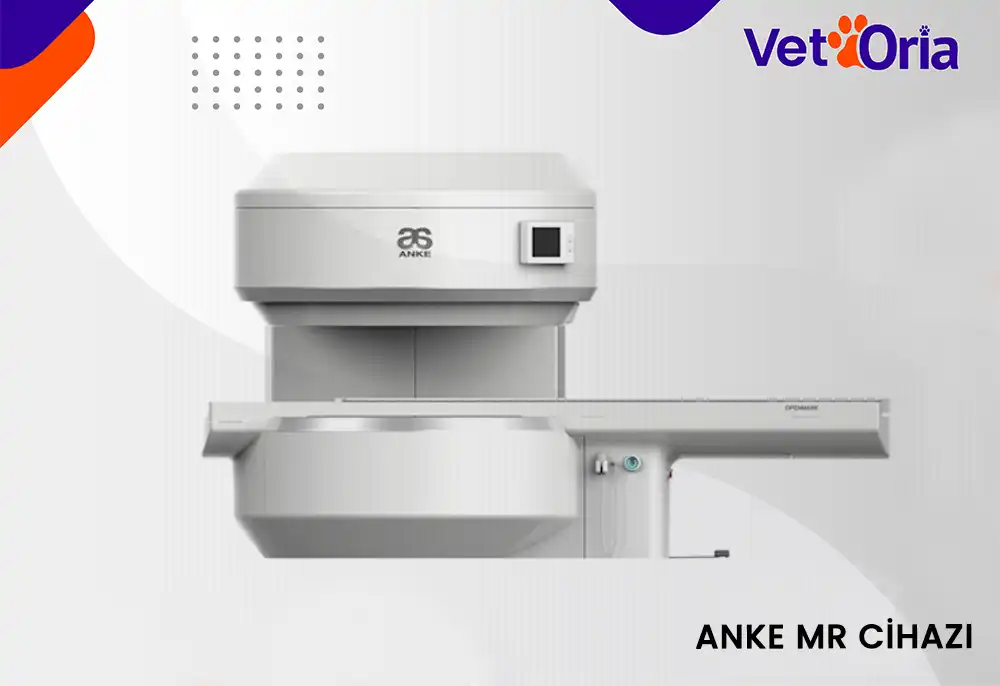 Anke MR Cihazı