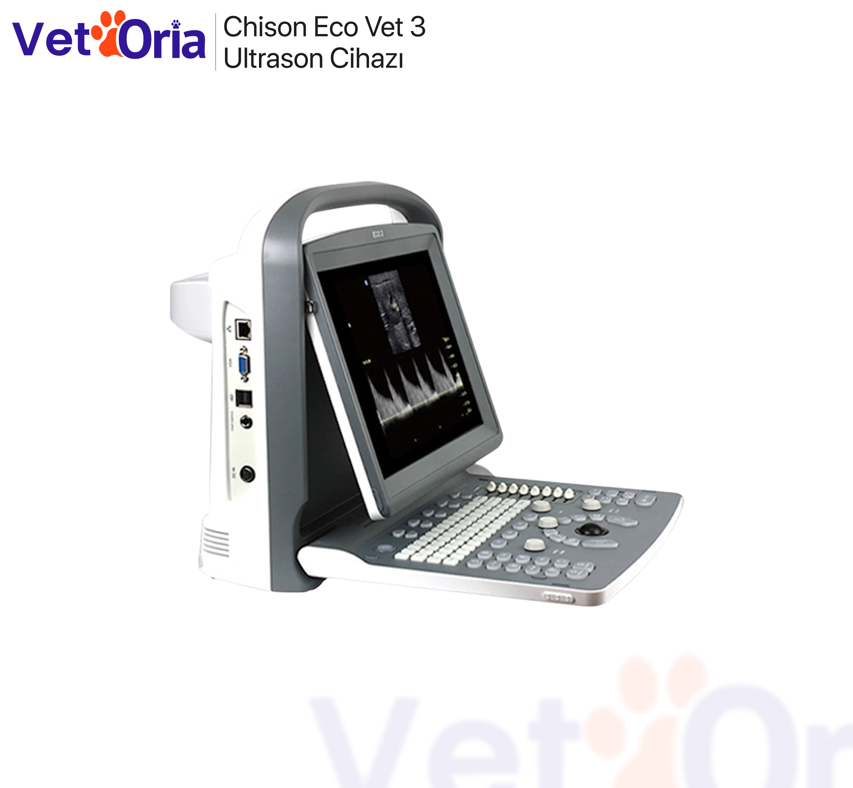                             Chison Eco Vet 3 Ultrason Cihazı