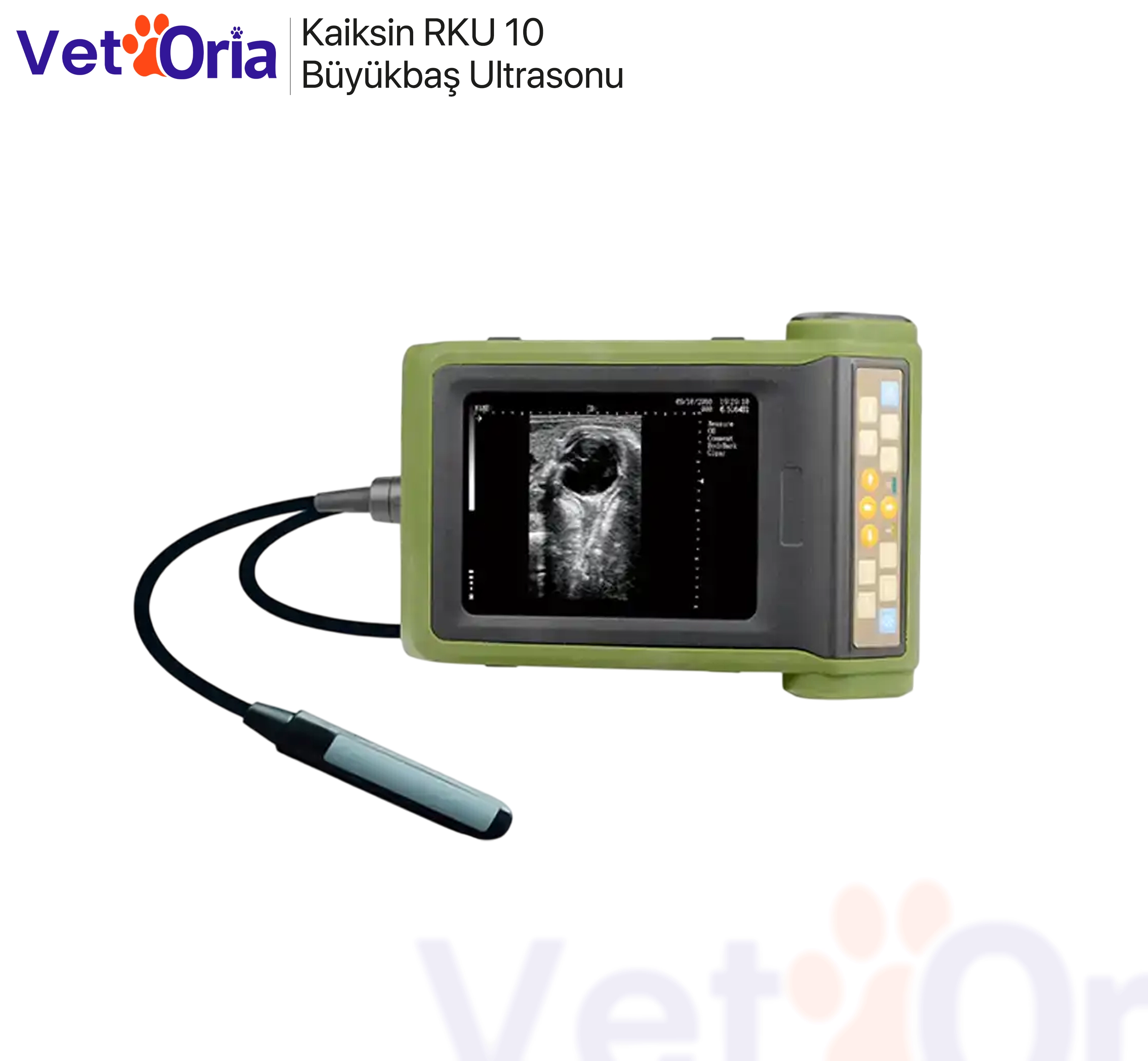                                   Kaiksin RKU 10 Büyükbaş Ultrasonu